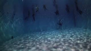 Dynamic Apnea (with fins) 40m