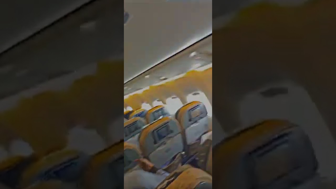 Interior of PIA flight