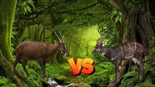 Saola vs Sitatunga I Animal deathmatch battles S1-SPORE-