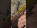 Water Pump Me Seal Lagate Hai #techtohelp #video #viral #trending #shorts #reels