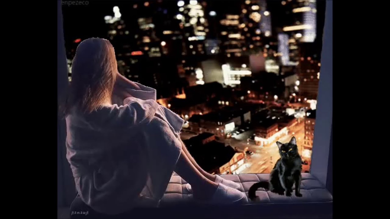 Песни в город приходит вечер. Девушка и кот ночью. Девушка с котом на крыше. Девушка с котом у окна. Женщина с кошкой у окна.