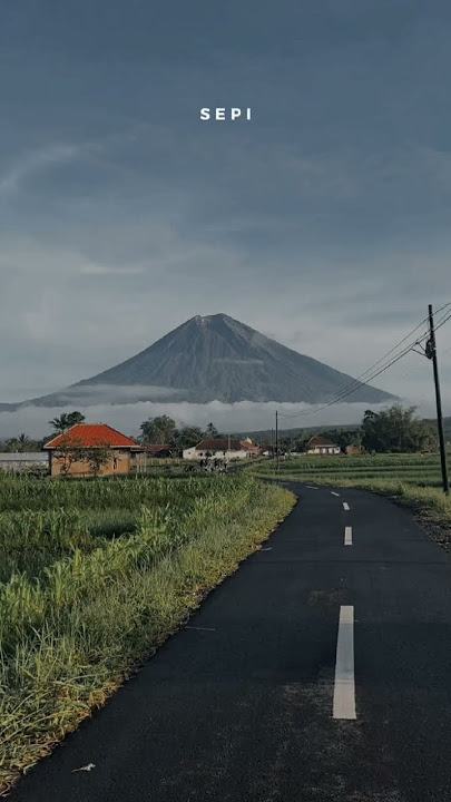 Lestari #trending #storytime #storywa #beranda #like