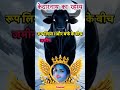 Kedarnath ki video#sorts # trending video# viral video