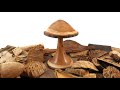 Turned wooden mushroom made from Yew by Silvanwoodturning on Etsy.