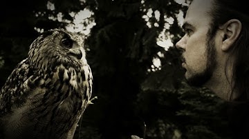 Sun Of The Sleepless - The Owl [official video clip]