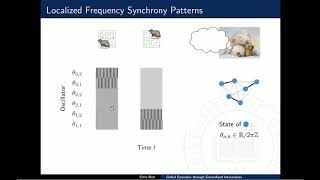 Bick - Beyond Kuramoto phase oscillator networks: Global dynamics through generalized interactions
