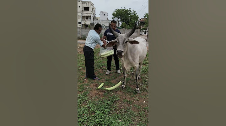 गाय माता कचरा खा गई 😍💔 #humanity #helping #youtubeshorts #trending #viralvideo #respect