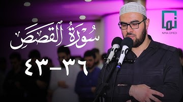 سورة القصص (٣٦-٤٣) #یحیی_الشيخاني  ‏#YahyaALshaikhani