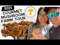 Gourmet mushroom farm tour 2023