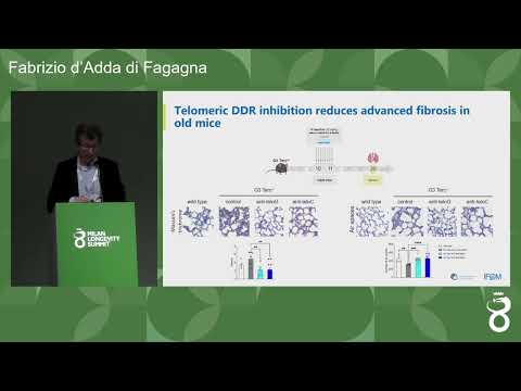 Fabrizio d'Adda di Fagagna | Decoding the Biology of Ageing | Milan Longevity Summit 2026