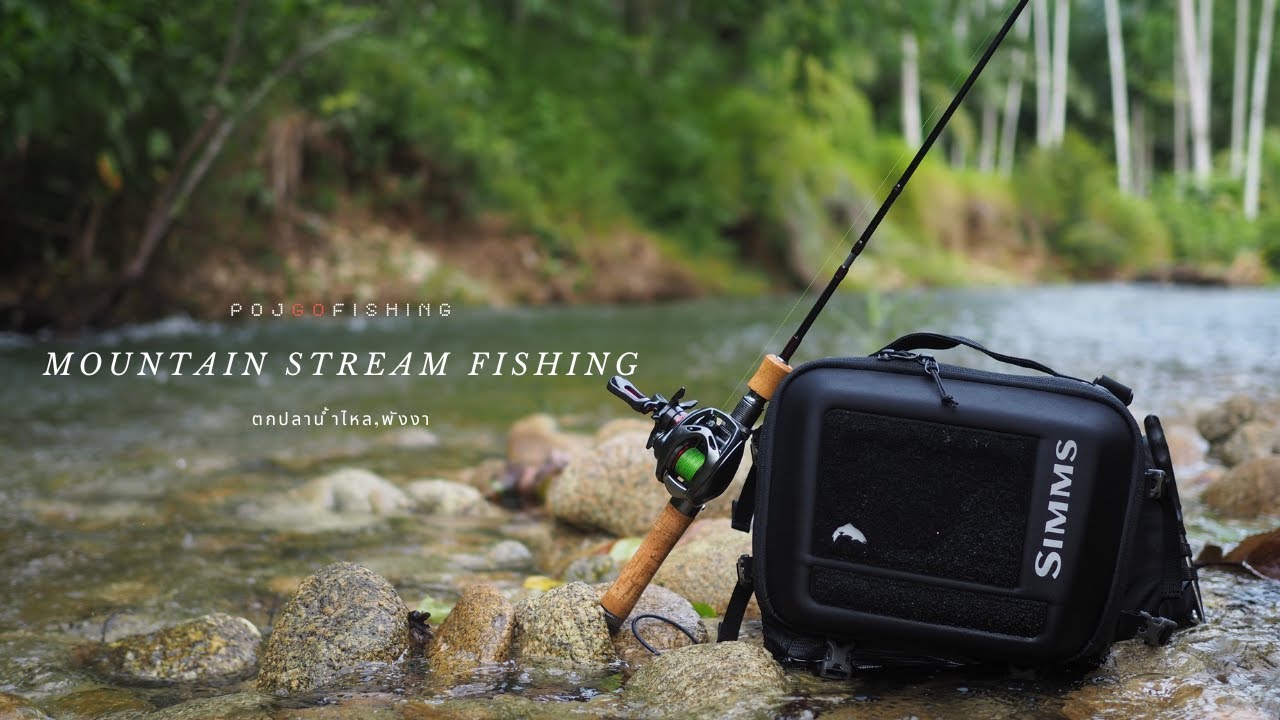 ตกปลากระสูบต้นน้ำ UL / Mountain Stream Fishing #เหยื่อปลอม #กระสูบ #creekfishing #streamfishing