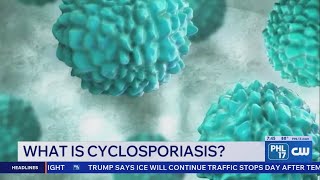 Cyclosporiasis Update: What Philadelphia Health Officials Want You to Know | PHL17 Morning News