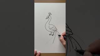 lets draw a peacock 🦚 today #arttherapy #easydrawing #satisfyingart #peacock #drawing #doodleart