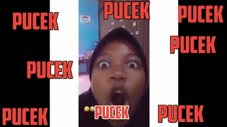 PUCEK PUCEK PUCEK | FUCEK RIZKY