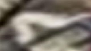 Weird Al Discography: Slime Creatures From Outer Space but every word repeated loops (1)