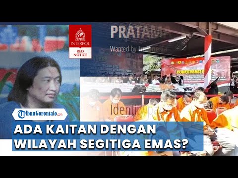 Polisi Dalami Keterkaitan Fredy Pratama dengan Wilayah Segitiga Emas