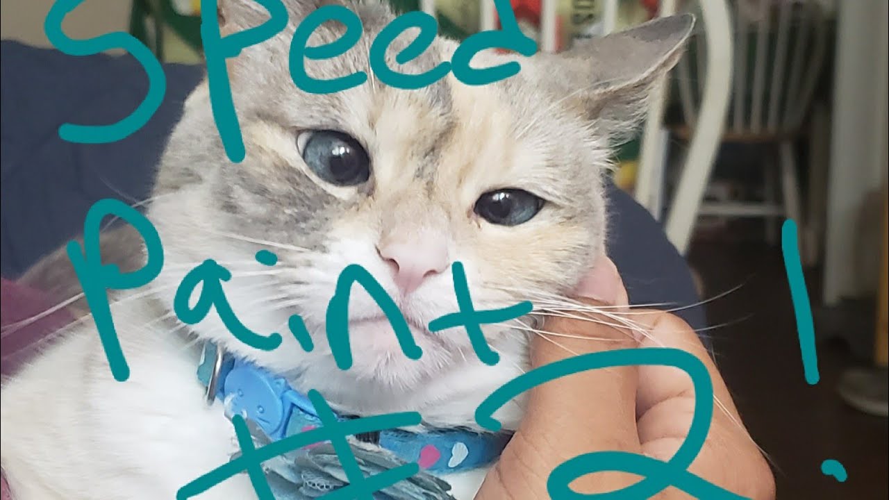 Speed paint #2  (Traditional media, Acrylic paint) "Hop" aka "the white cat"