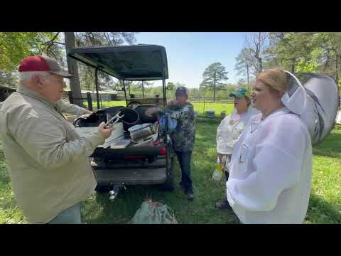 Basic tools and knowledge, Bee School 2023