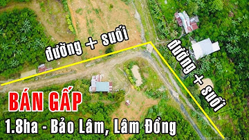 Kẹt tiền cần bán 18036m2 đất vườn cà phê xen cây ăn trái có nhà nhỏ suối ôm triền đồi ở Lâm Đồng