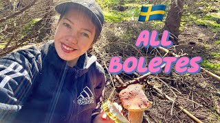 Swedish forest 37: all about Boletes