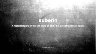 What Does Suberin Mean