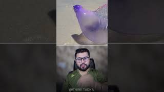 The Ocean's Invisible Killer You Can't See Coming #ocean #jellyfish #shorts
