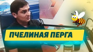 видео: ПЧЕЛИНАЯ ПЕРГА – правильное применение и противопоказания картинка: ПЧЕЛИНАЯ ПЕРГА – правильное применение и противопоказания