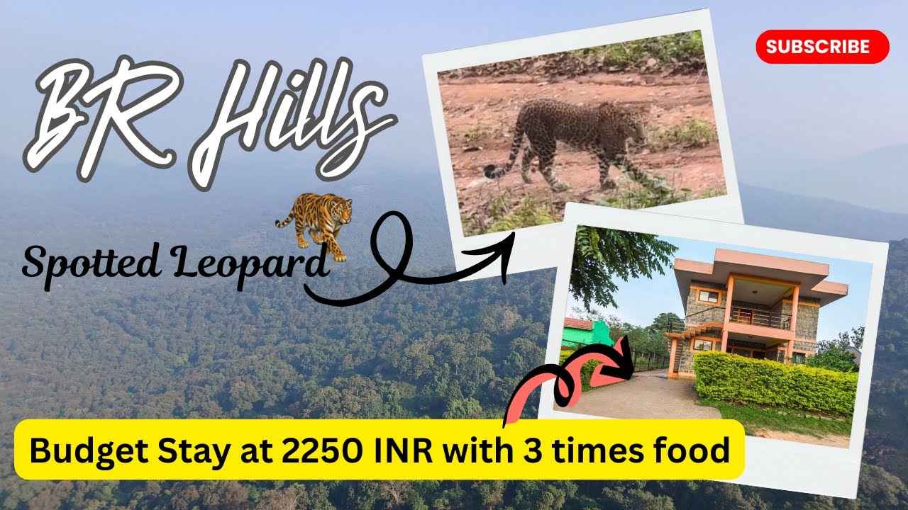 BR Hills ⛰️Видеоблог о путешествии | 🐆 Наблюдение за леопардами на сафари | Бюджетное жилье | Вых...