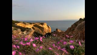Sunset Serenade - Slavi Chordia