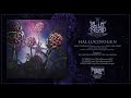 Capture de la vidéo Blut Aus Nord - Hallucinogen (Full Album)