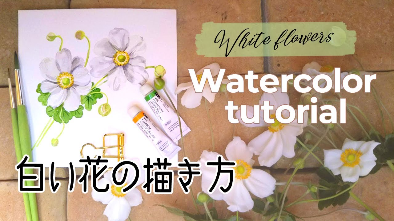 白い花の描き方 水彩画 初心者 秋明菊を描いて白の表現方法を解説 How To Paint Watercolor White Flowers Youtube