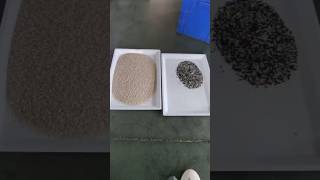 Before & After Rice Sorting | Purity You Can See #machine #factory #farming #colorsorter#rice