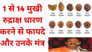 1 से लेकर 14 मुखी रुद्राक्ष धारण करने के फायदे | 1 to 14 mukhi rudraksh | pradeep Mishra ji