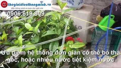 Hệ thống tưới cây nhỏ giọt tự động, tưới thả gốc lắp đặt, mô mình tưới đơn giản tự chế