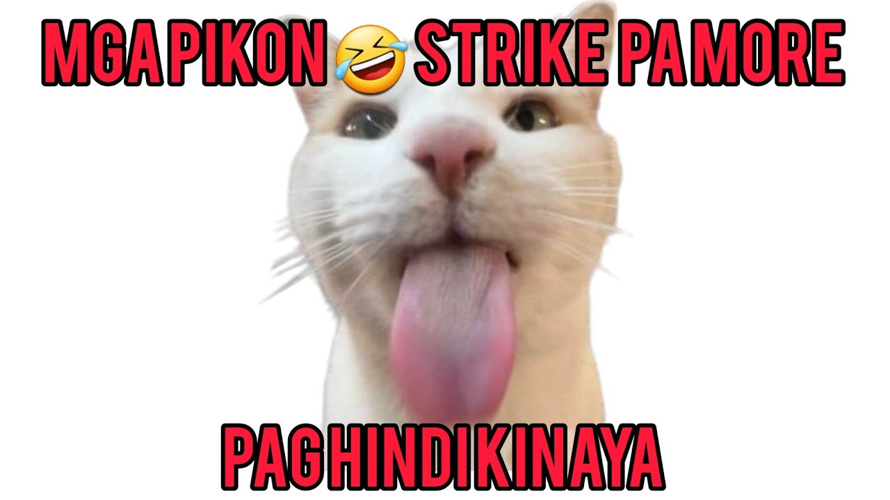 MGA MAHINANG NILALANG / LESS TALK LESS MISTAKE! NAGING REACTIONIST KAPA ...