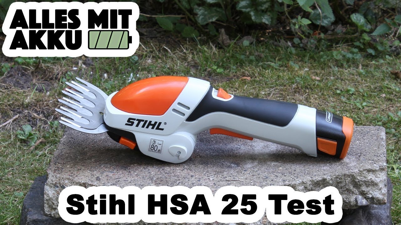 stihl hsa 25 amazon