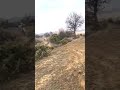 pista motorcros(3)
