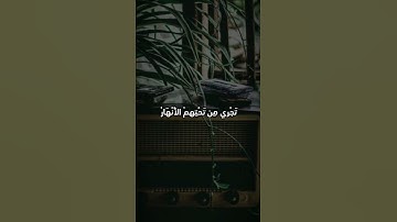 الشيخ أحمد محمد عامر بصوت هادئ وجميل #قرآن #أصوات_خاشعة #تلاوات #أحمد_محمد_عامر