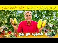 BARI KHUSHI HOWI | ORGANIC FOOD IN TWO MONTHS
