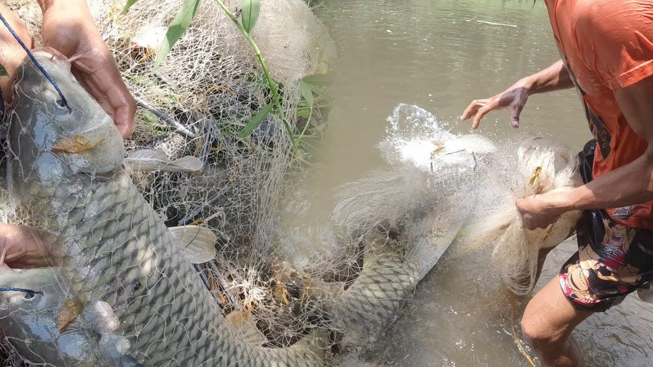 HINDI INAASAHAN DALAWANG MAMAW ang BIGLANG KUMALABSAW! [Reload]