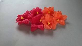 Easy flowers "Hibiscus or Tabasco tulip" on crepe paper