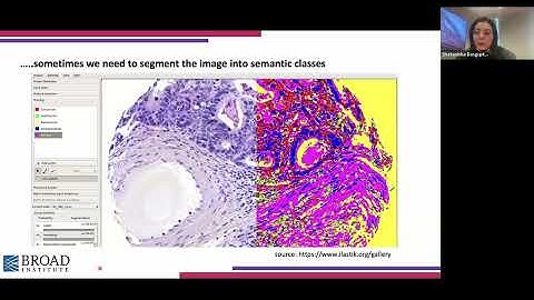 Connecting CellProfiler to ilastik and Cellpose