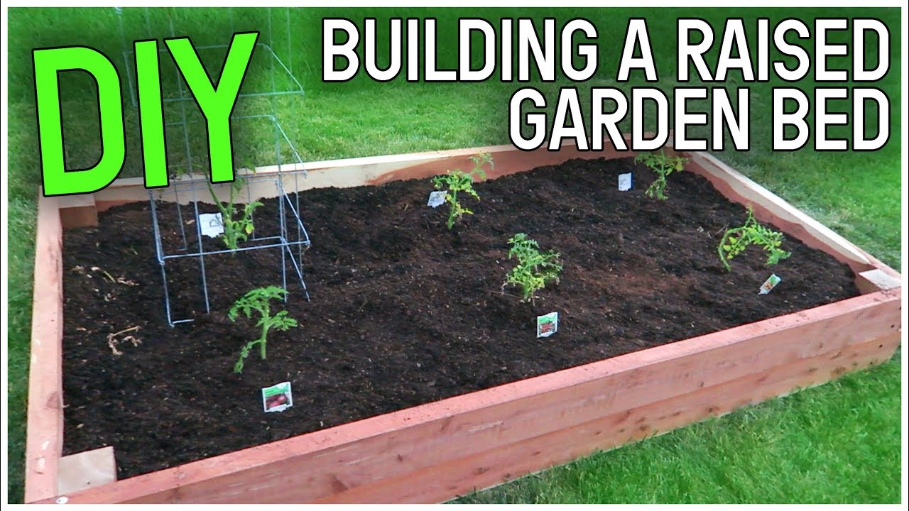 DIY BUILDING A RAISED GARDEN BED YouTube