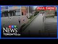 Pit Bull With No Leash Kills Small Dog And Injures Woman CTV News Toronto Noon May 13 2026 