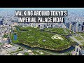 Walking around tokyos imperial palace moat  japan live streams 2024