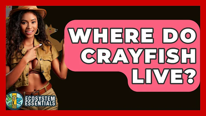 Where Do Crayfish Live? - Ecosystem Essentials