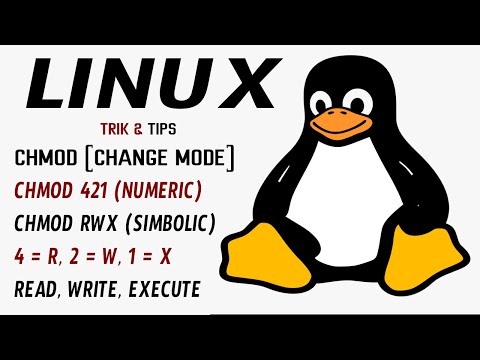 Video: Apa itu chmod di Ubuntu?