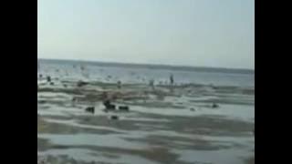 Logu suatu senja