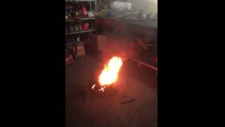 IMG 1071
