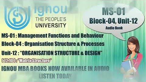 Matrix Structure | Organisation Structure and Design | DLL #management #audiobook #ignou